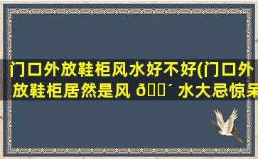 门口外放鞋柜风水好不好(门口外放鞋柜居然是风 🌴 水大忌惊呆了)